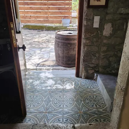 דירה Traditional